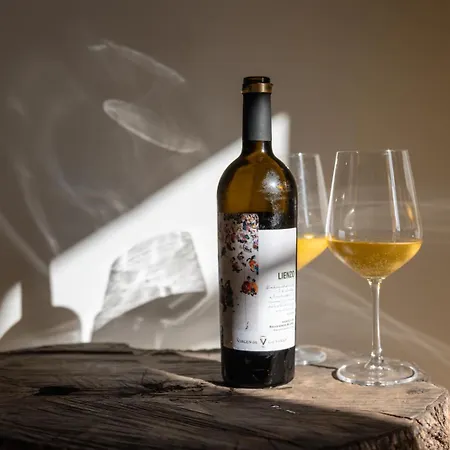 Luz 4* بويرتو ديل روزاريو